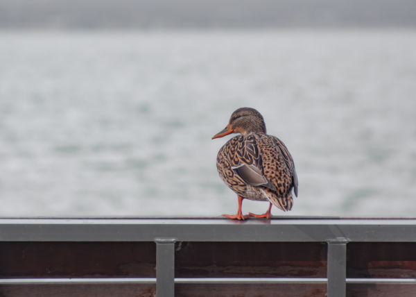 Vége van a nyárnak