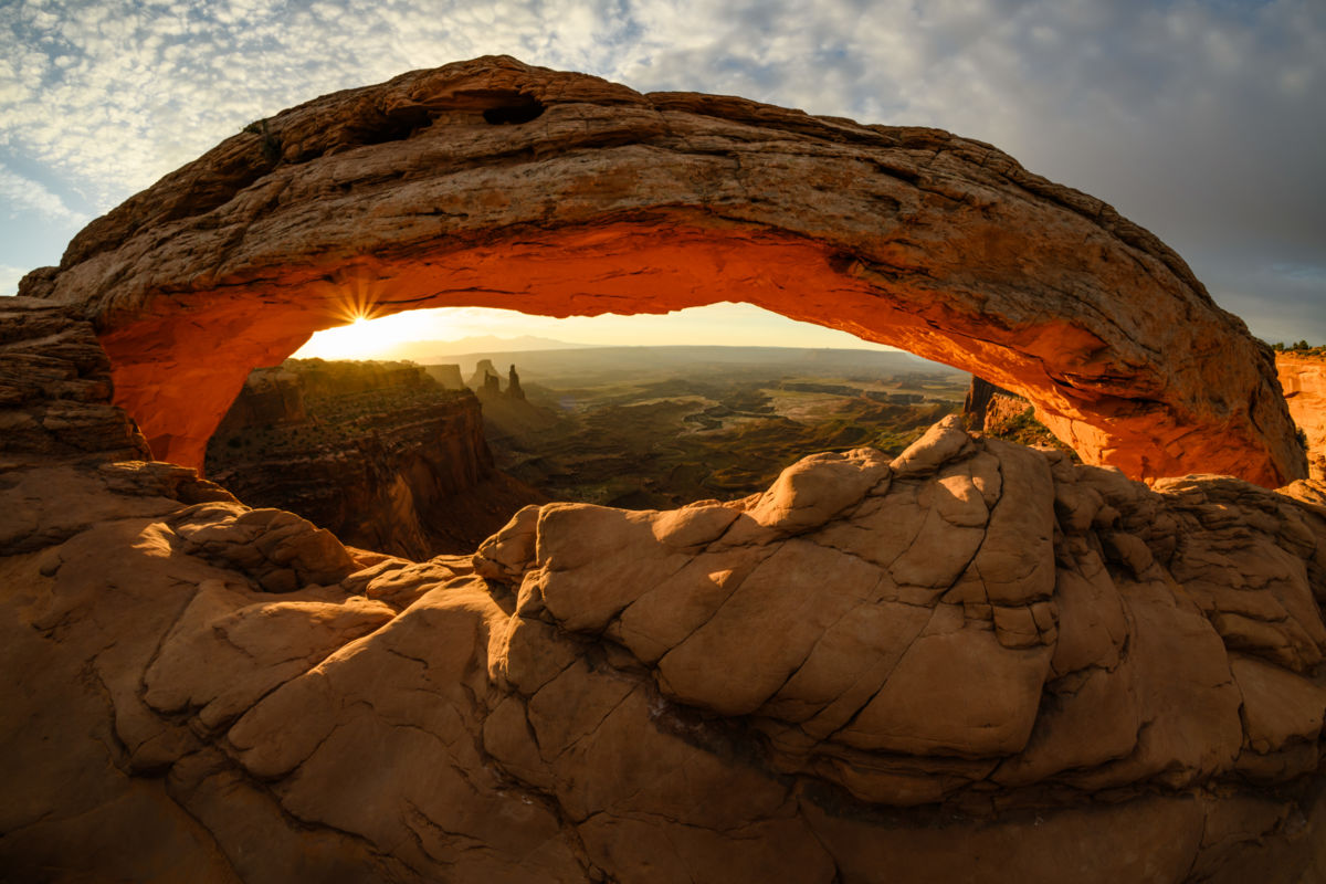 Szakolczai Krisztina