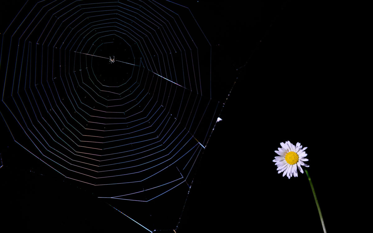 Benke Péter Valentin