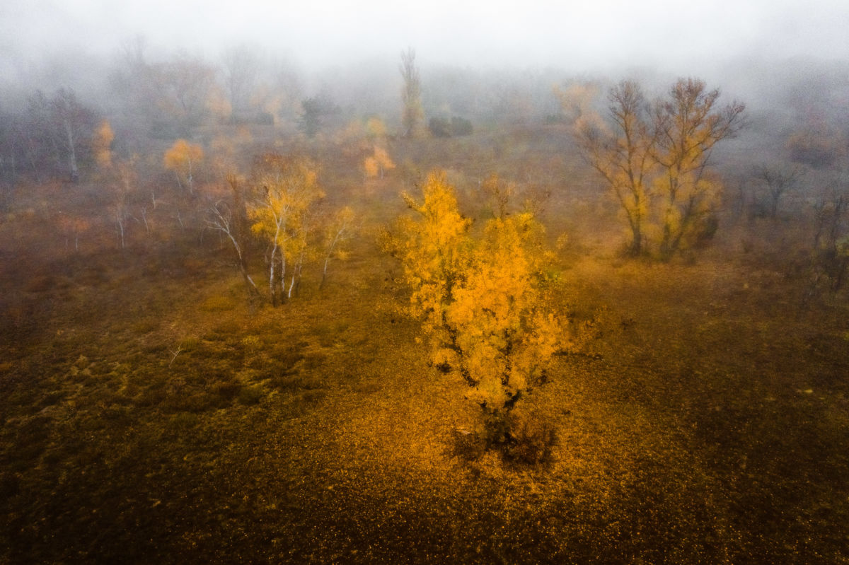 Szakolczai Krisztina