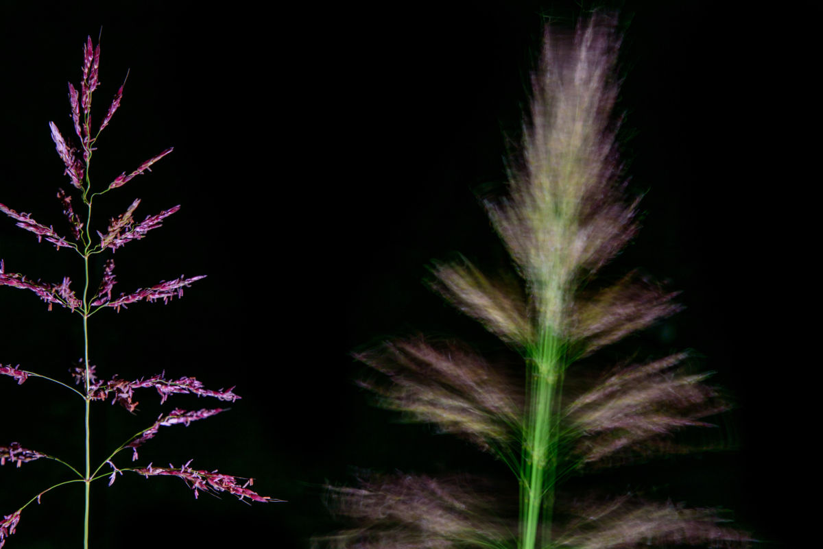 Benke Péter Valentin