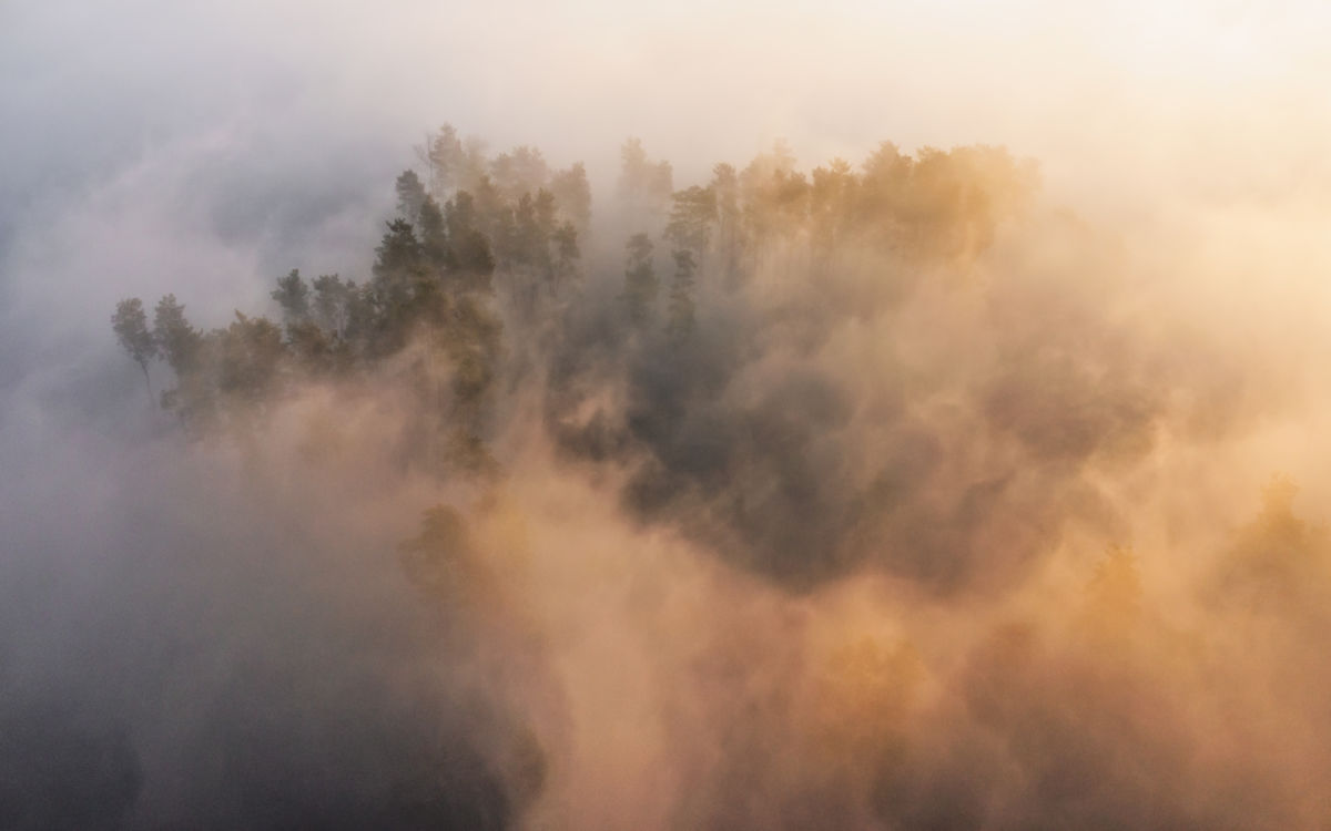 Szakolczai Krisztina