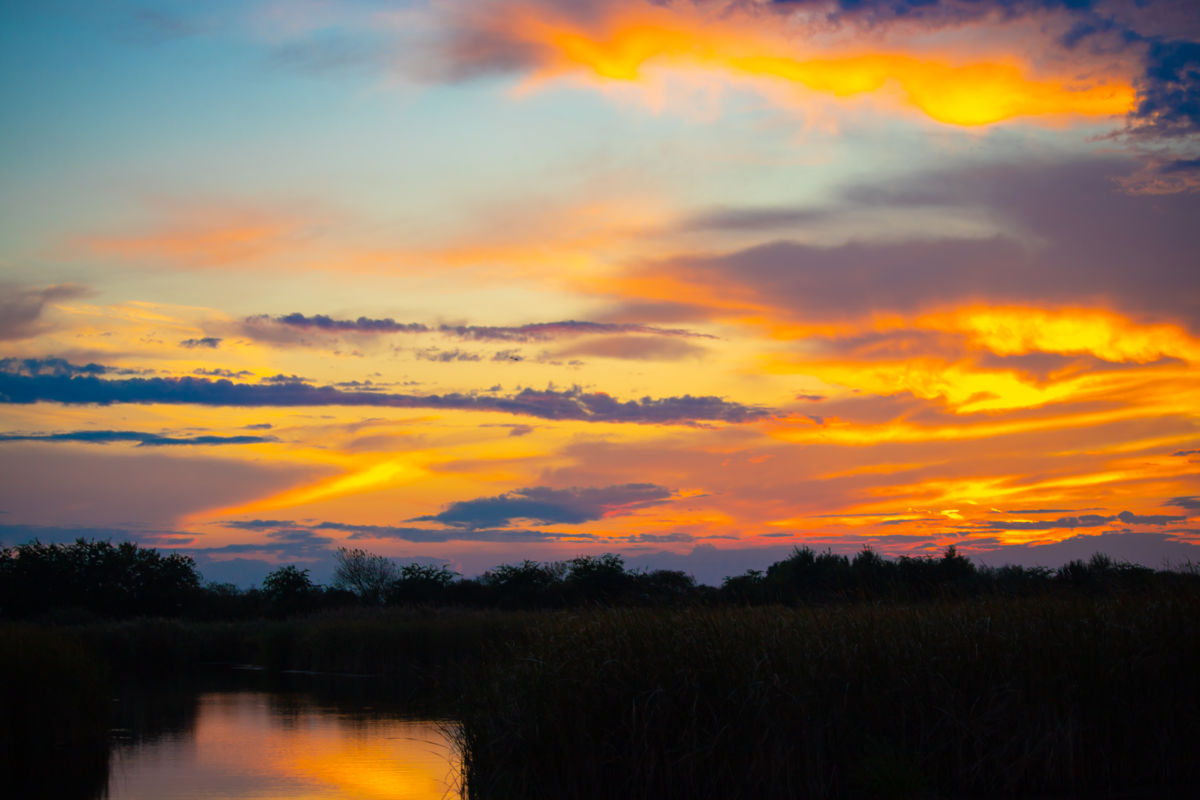 Germán Szilveszter Tibor