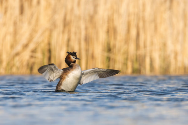 Ekkora halat fogtam...