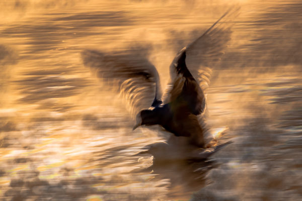 Hetedik mennyország