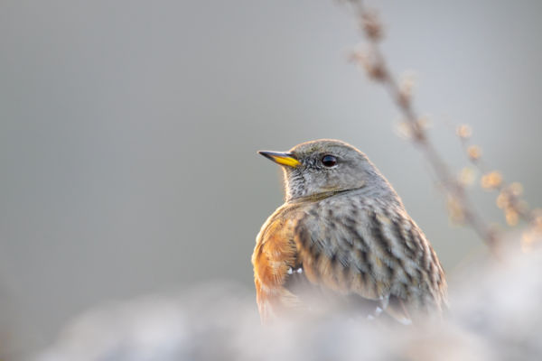 Pihenés a napnyugtában
