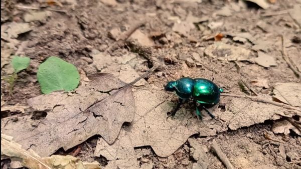 Mozgásban a természet