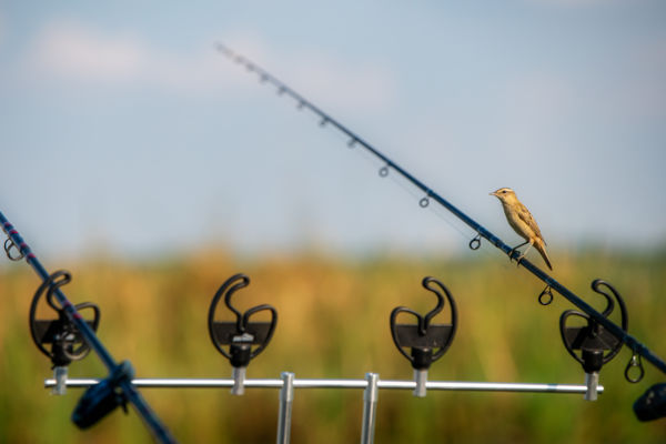 Segítséggel könnyebb