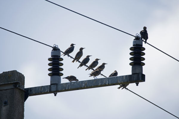 Feszültség ellenőrzés