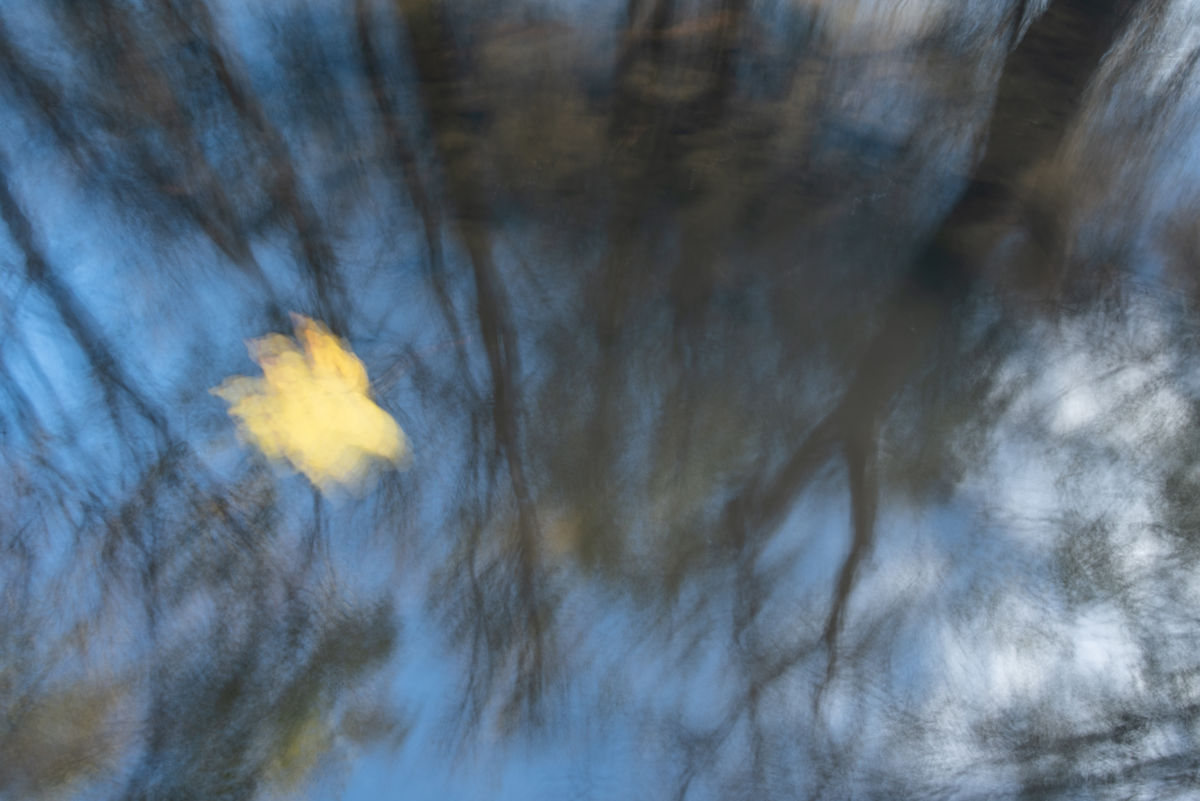 Darányiné Bakos Éva