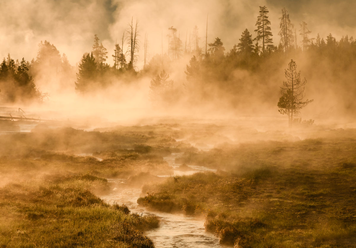 Szakolczai Krisztina