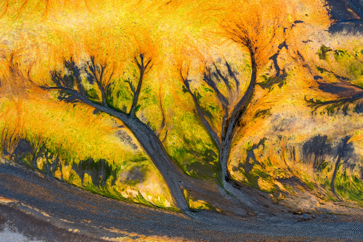 Szakolczai Krisztina