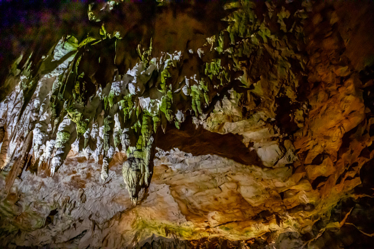 Germán Szilveszter Tibor