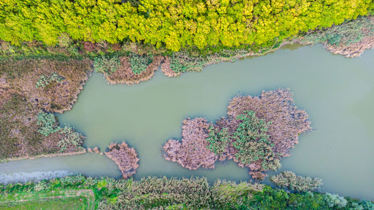 Benke Péter Valentin