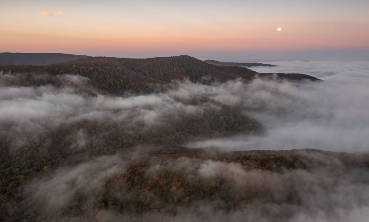 Szakolczai Krisztina