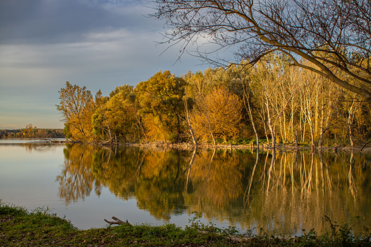 Germán Szilveszter Tibor