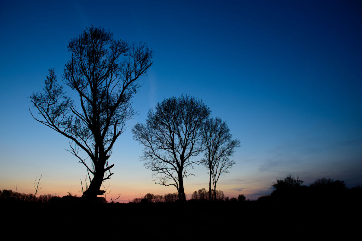 Benke Péter Valentin