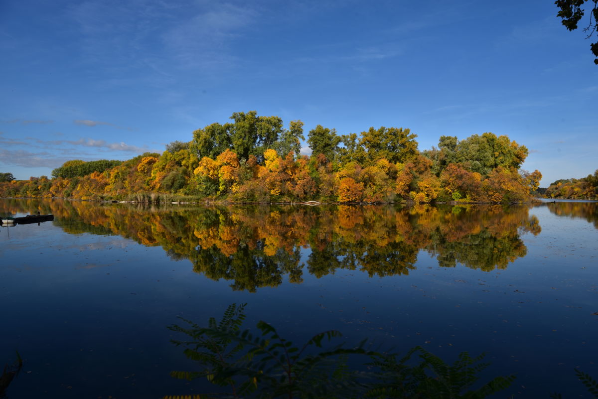 Dr. Rátkainé Kádár Andrea