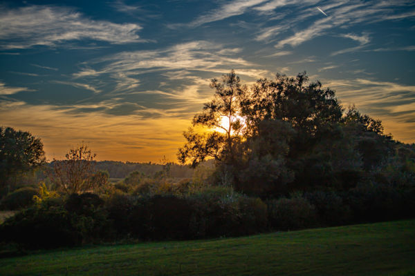 Szigetközi napnyugta