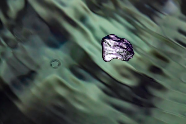 Bubi a szabadság kapujában