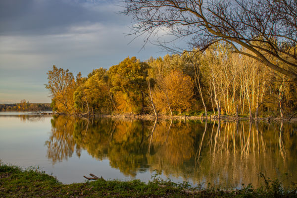 Szigetköz naplementében
