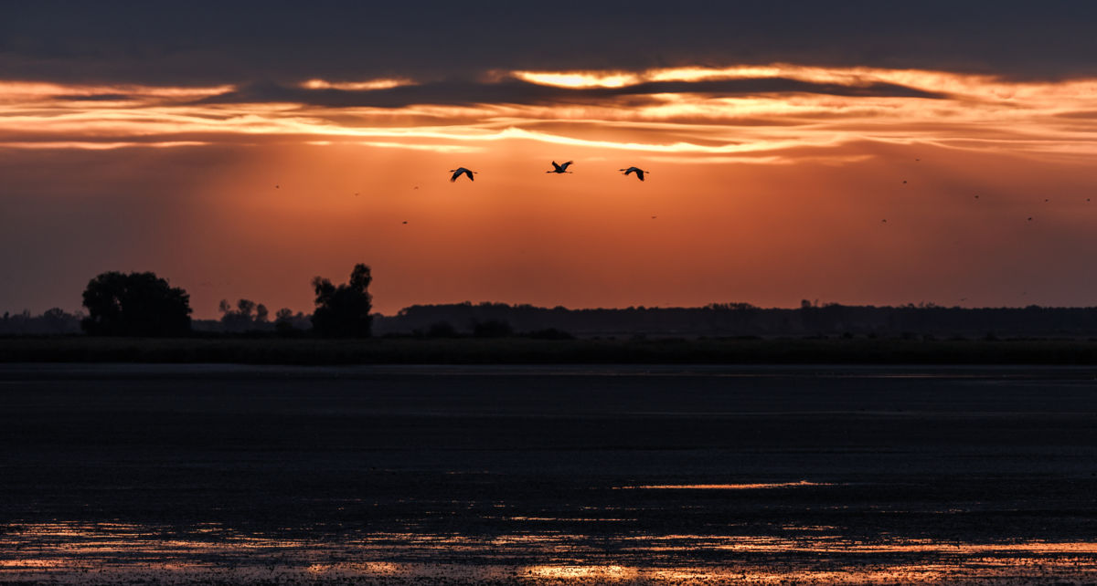 Gyenti-Kálvin Kinga