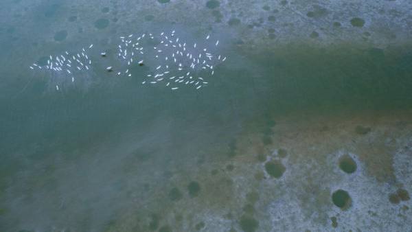 Türelem és nyugtalanság