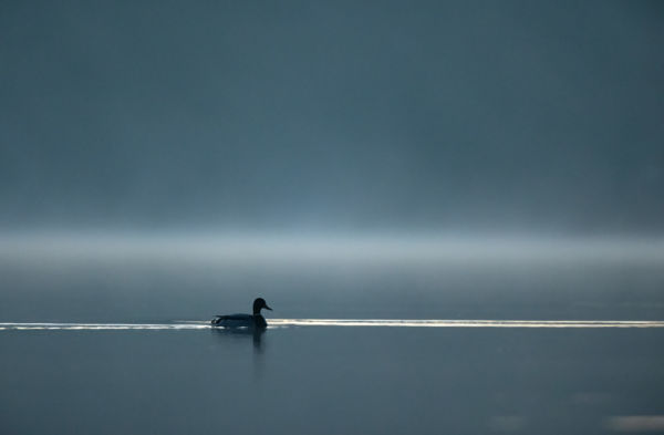 A Béke Itt Kezdődik