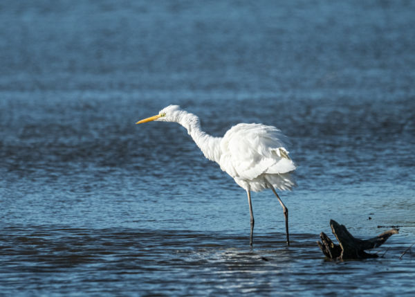 Kicsit megrázom magam...
