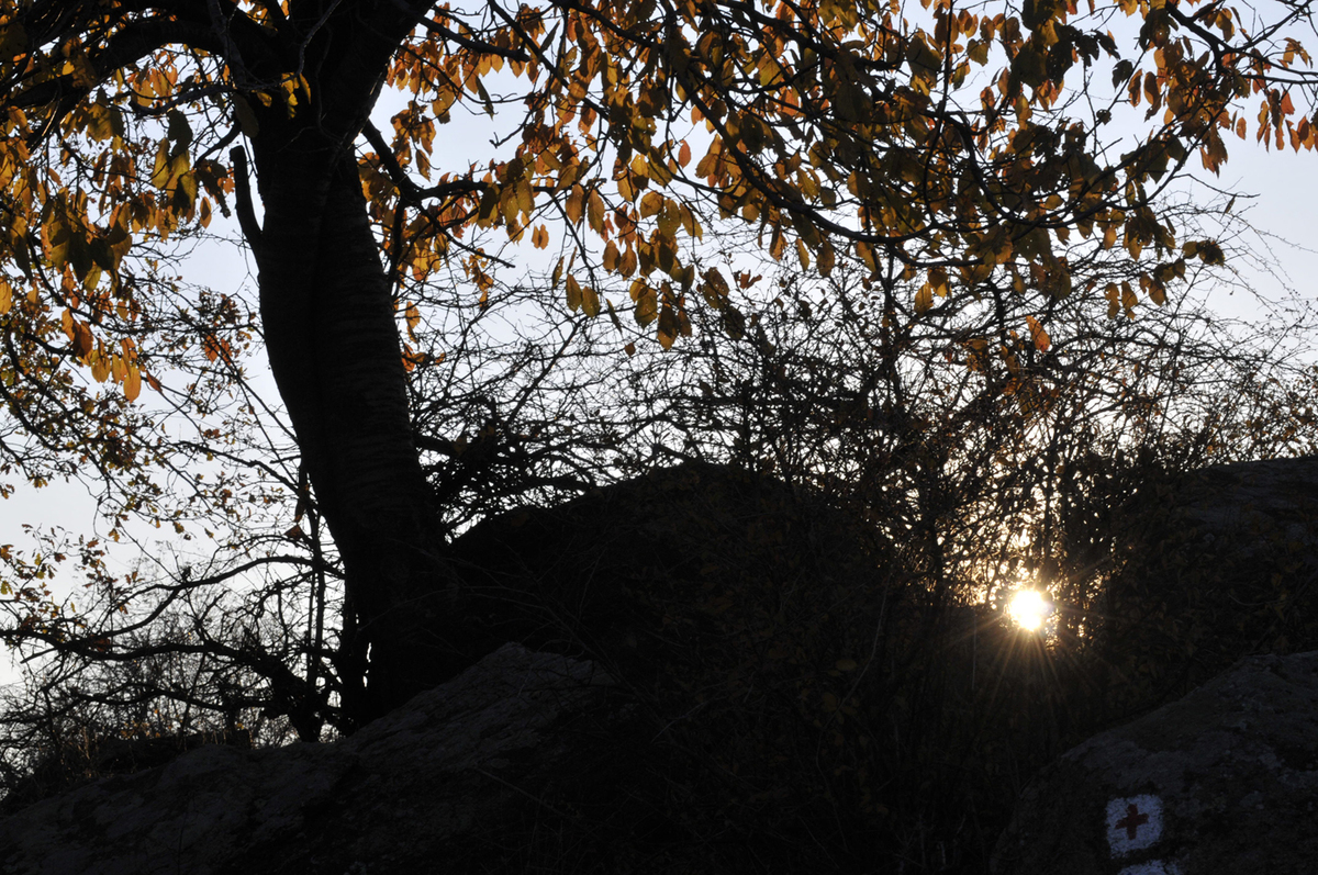 Gaál Zoltán Péter