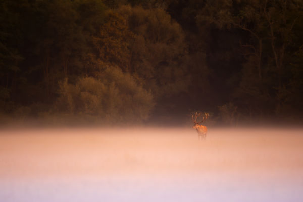 Szeptemberi látomás