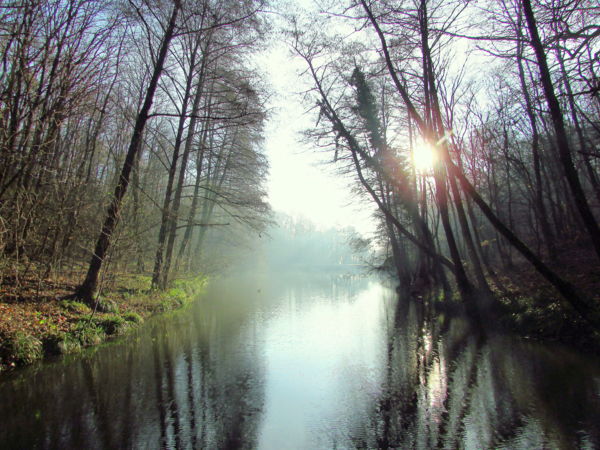 Reggel a vízparton. 