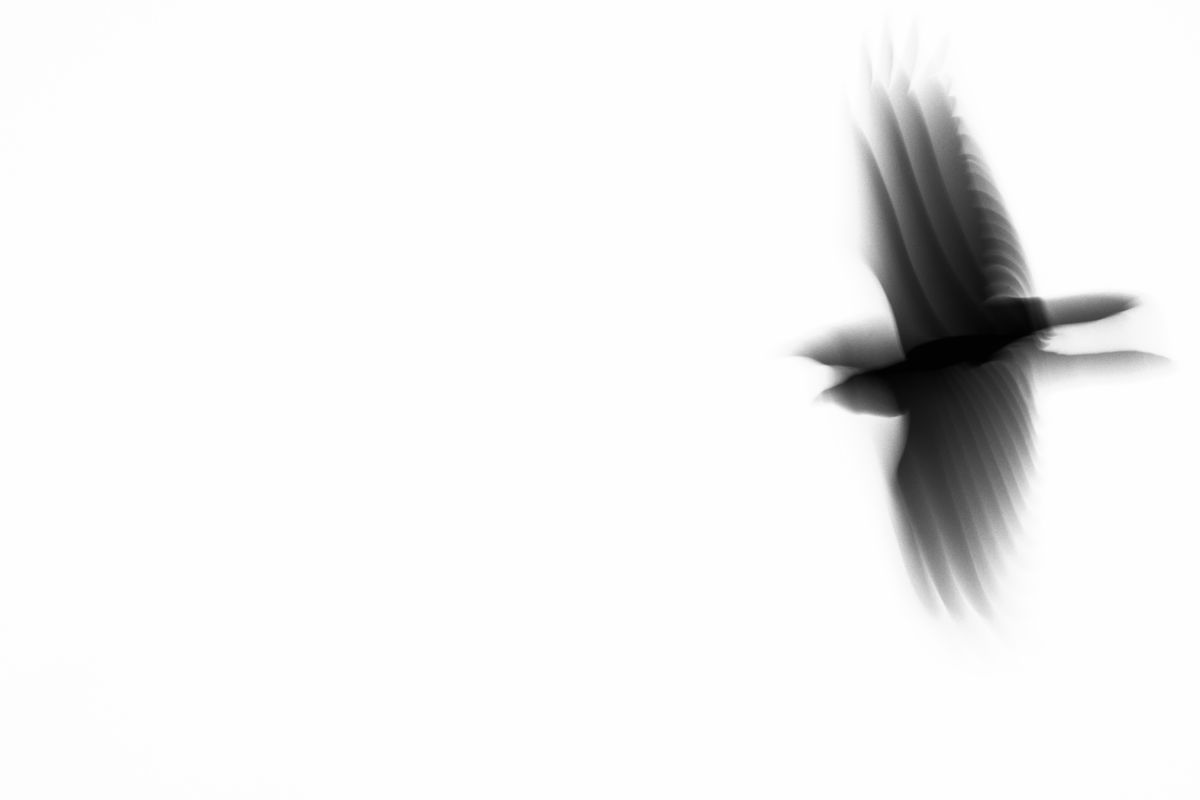 Darányiné Bakos Éva