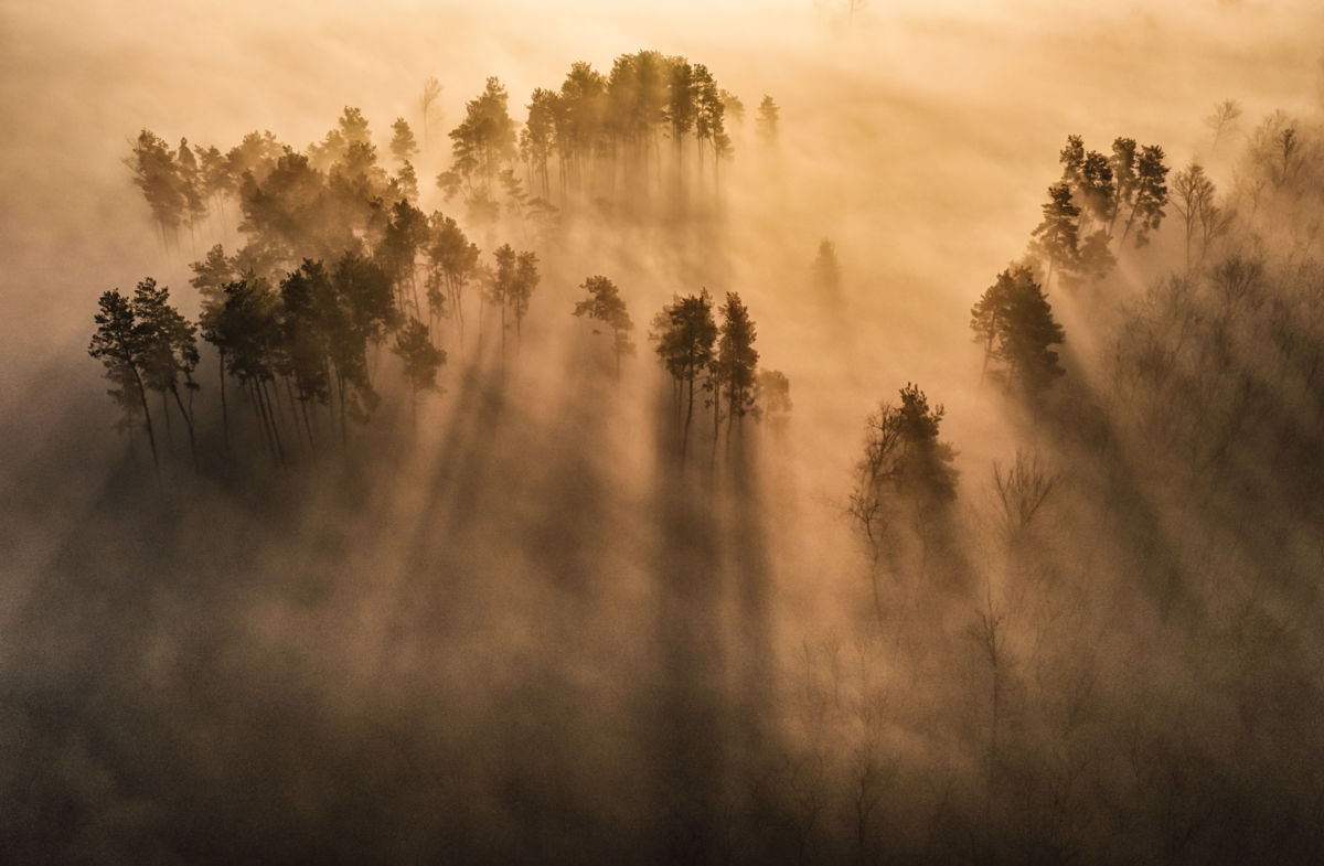 Szakolczai Krisztina