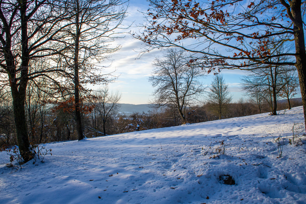 Germán Szilveszter Tibor