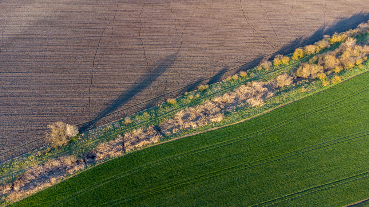Benke Péter Valentin