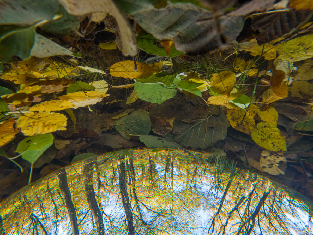 Benke Péter Valentin