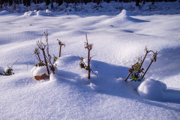Még kikandikálunk egy kicsit