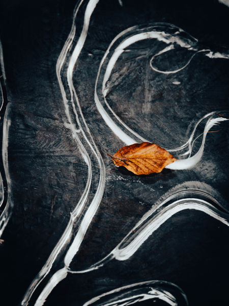 Évszakok találkozása