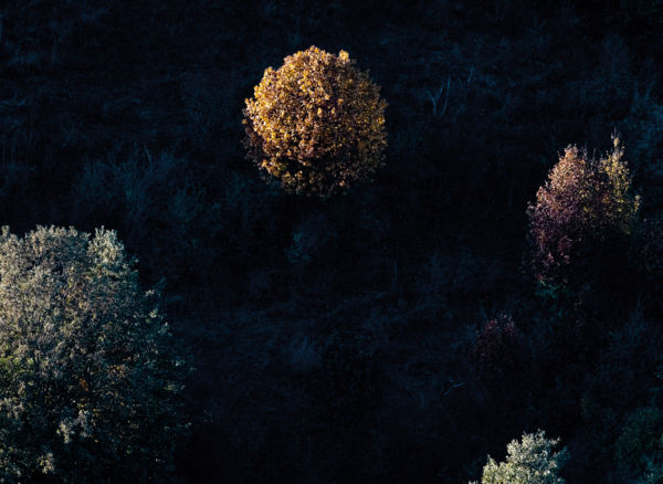 Az utólsó fénysugarak