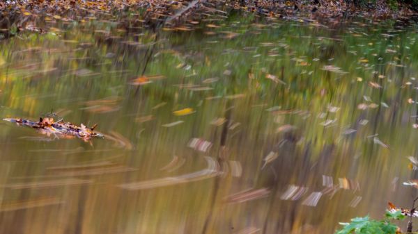 Folyás és tükröződés