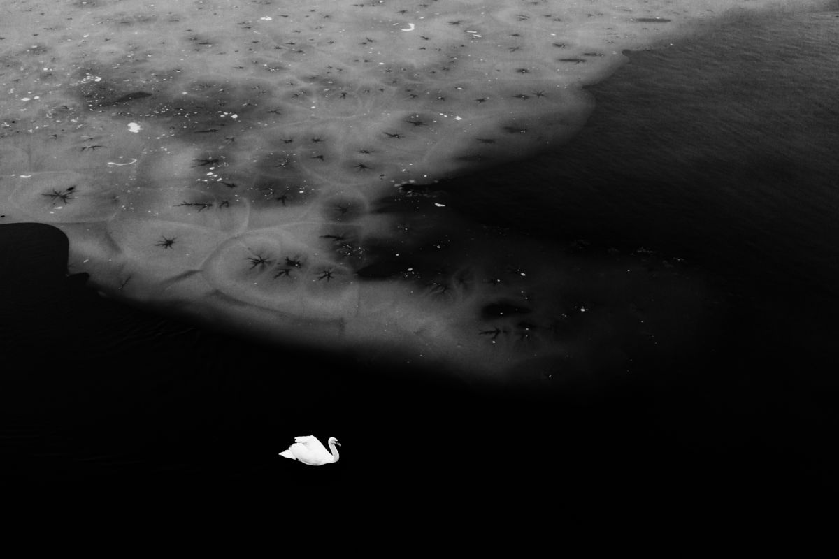 Szakolczai Krisztina