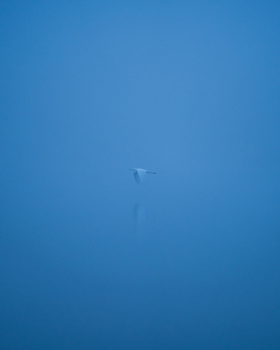 Kovács Dániel Csaba