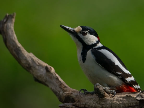 Valami van a levegőben