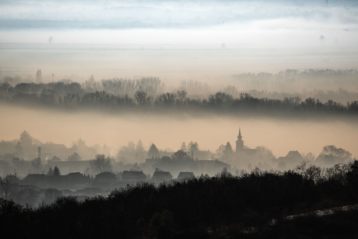 Darányiné Bakos Éva