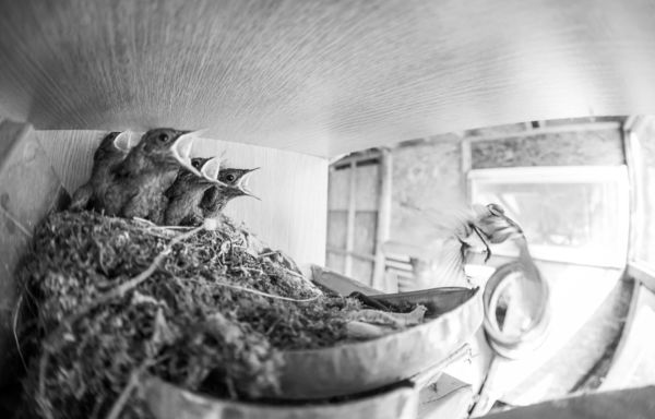 Élet a műhelypolcon