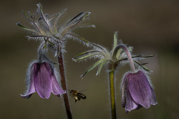 Dolgos hétköznapok