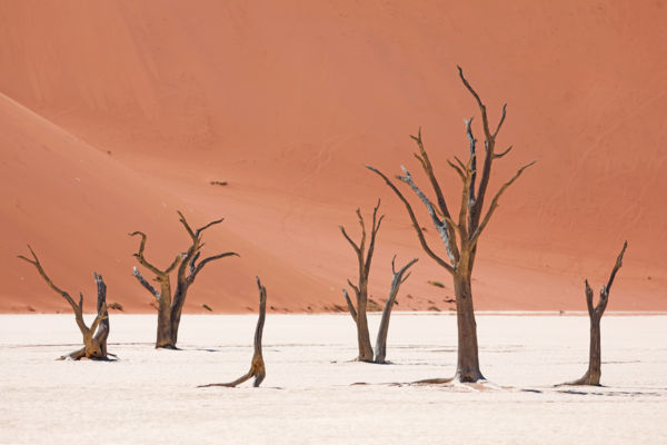 Deadvlei 