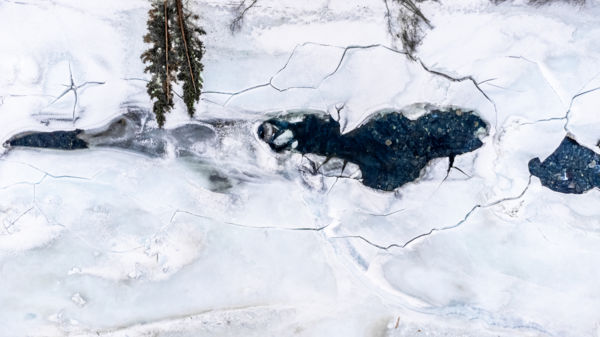 Norvég minta avagy kidőlt fák a Sjoa folyó mentén