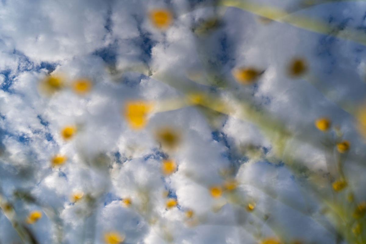 Kovács Dániel Csaba